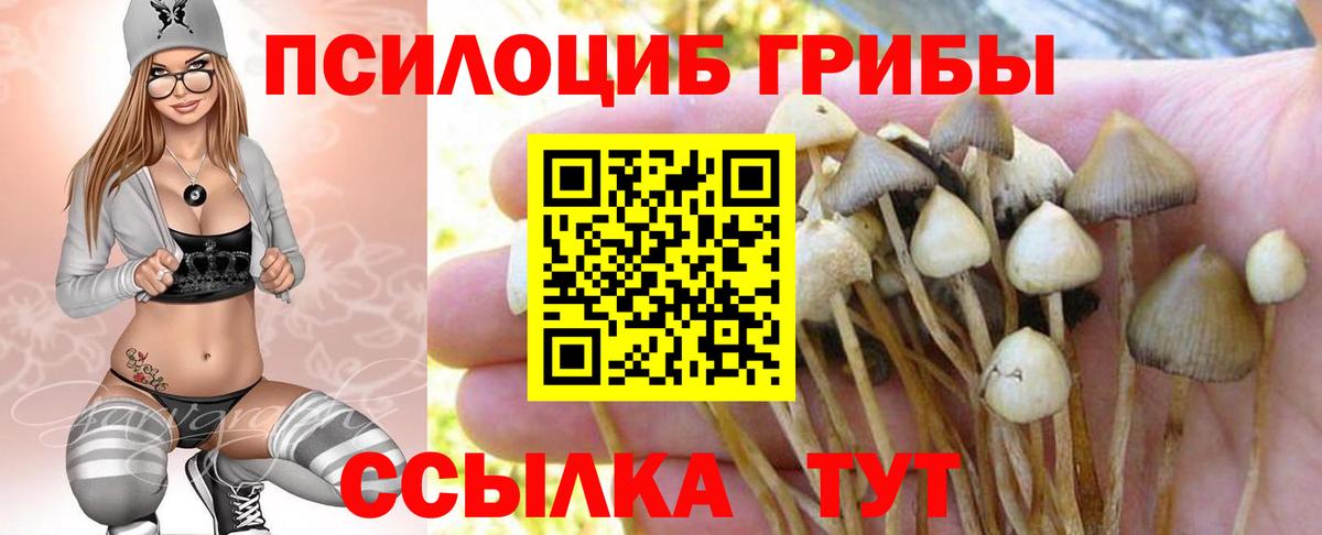 Галлюциногенные грибы мухоморы  Галлюциногенные грибы Psilocybe  Барнаул  Вход с VPN 